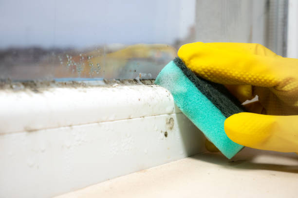 Water Damage Restoration in Pittsfield, MA