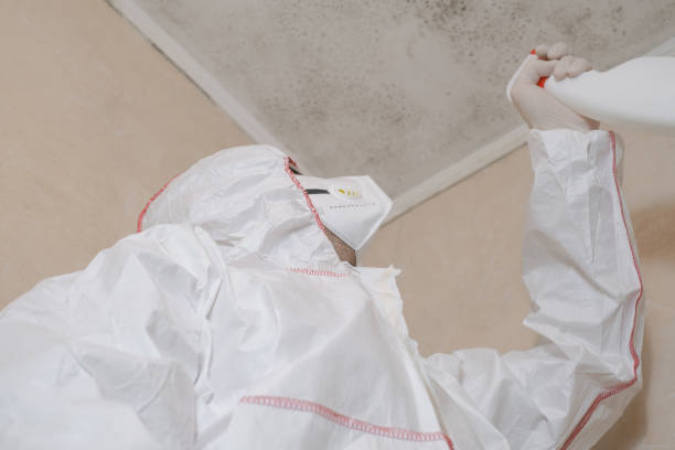 Best Commercial Mold Removal  in Pittsfield, MA